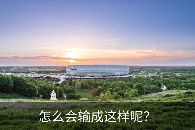怎么会输成这样呢？
